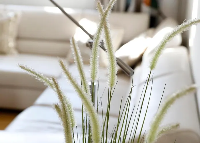 Palatinazeit- Boutique-apartments Hamburg & Berlin - Stilvoll Wohnen Mit Bis Zu Sieben Personen *