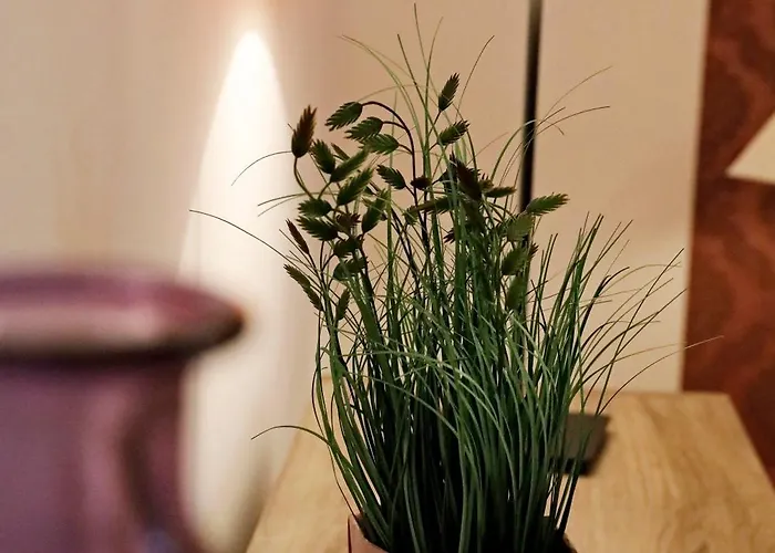 Lägenhet Palatinazeit- Apartments In Freinsheim - Hamburg & Berlin - Stilvoll Wohnen Unter Einem Dach *